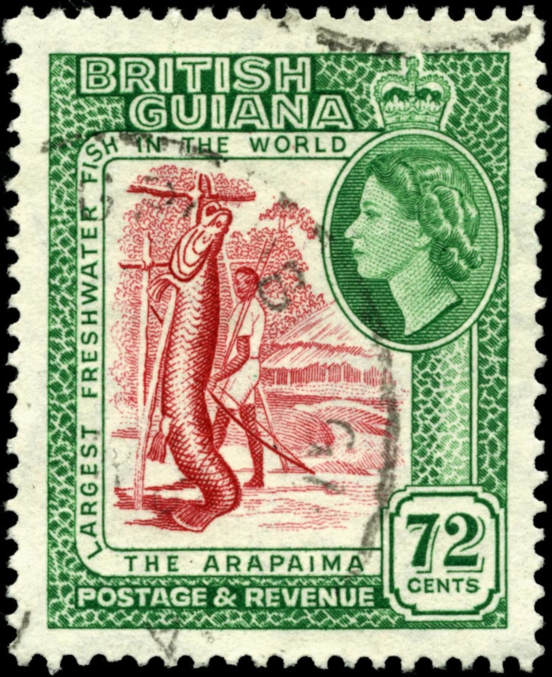 Arapaima a její lovec na poštovní známce
