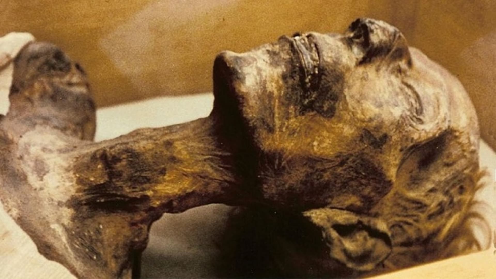 Mumie Ramsese II.
