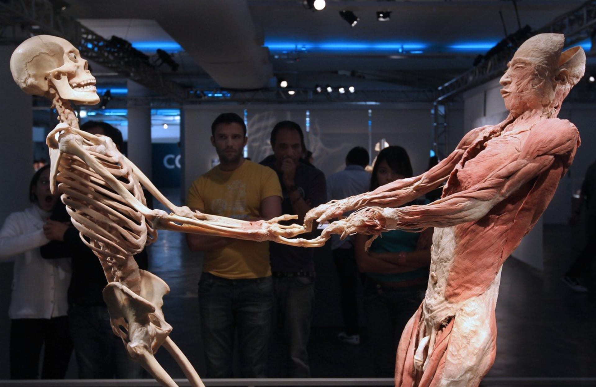 Návštěvníci sledují anatomickou  výstavu "Body - The Exhibition" v brazilském Sao Paulu