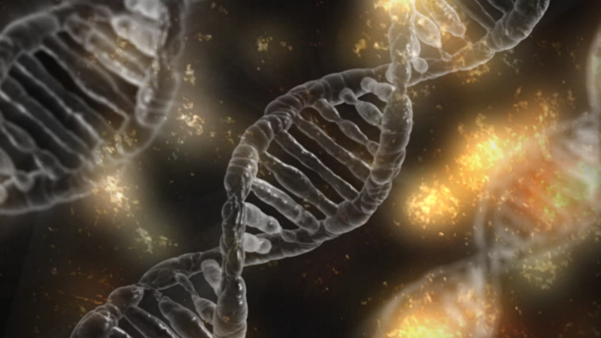 Co všechno víme o naší DNA?