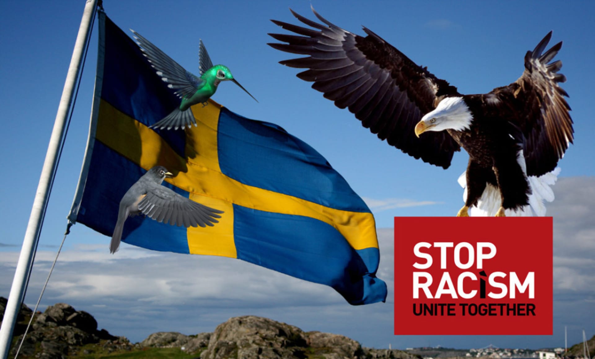 Švédsko proti ptačímu rasismu