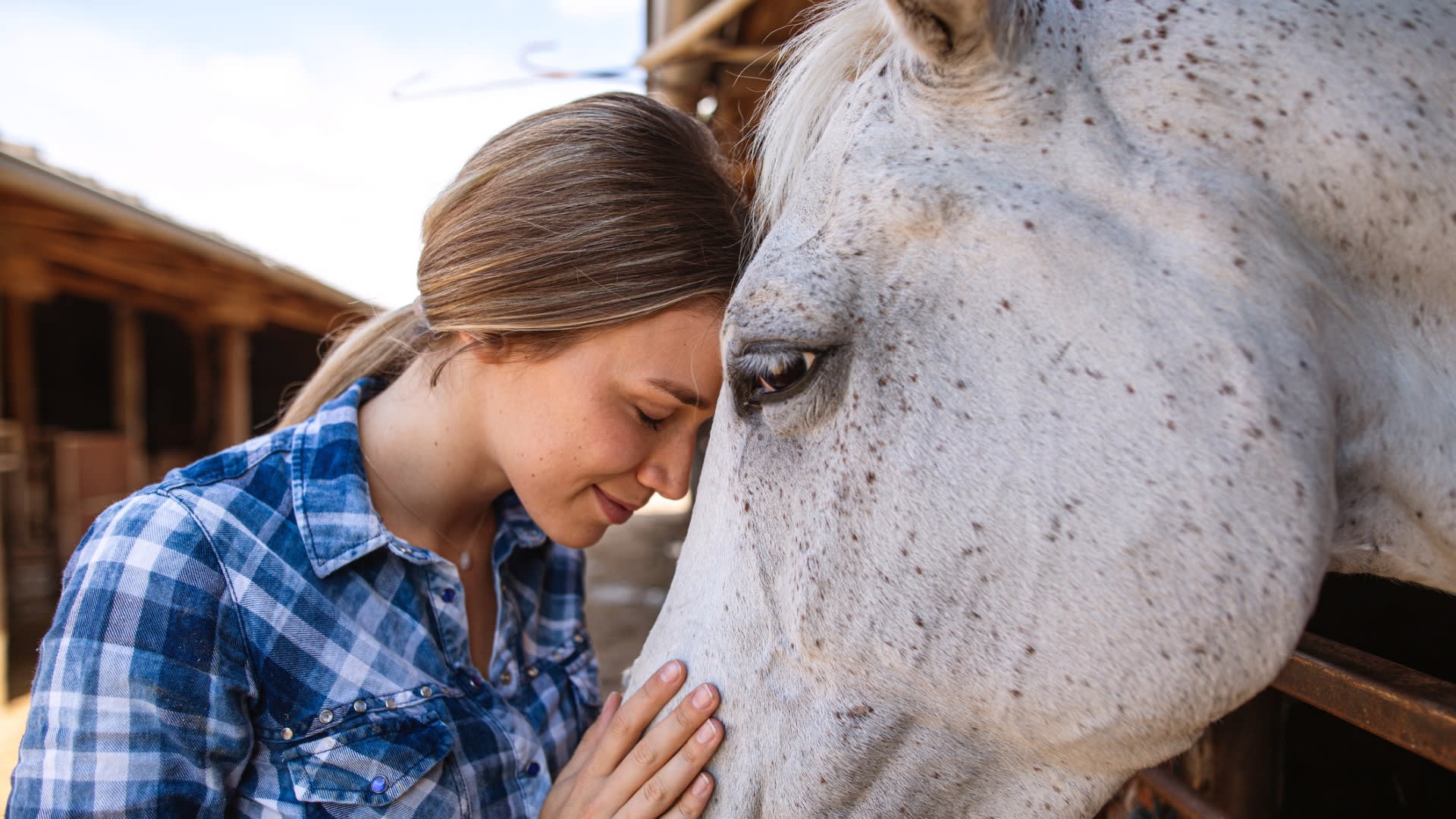 Vztah lidí a koní dokáže být velmi intenzivní.