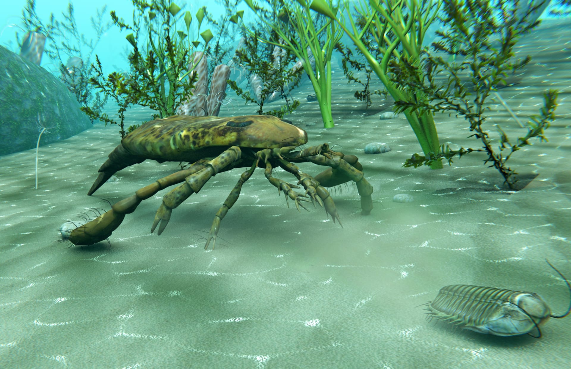 Dravý mořský škorpion Eurypterus nahání trilobita - ordovik