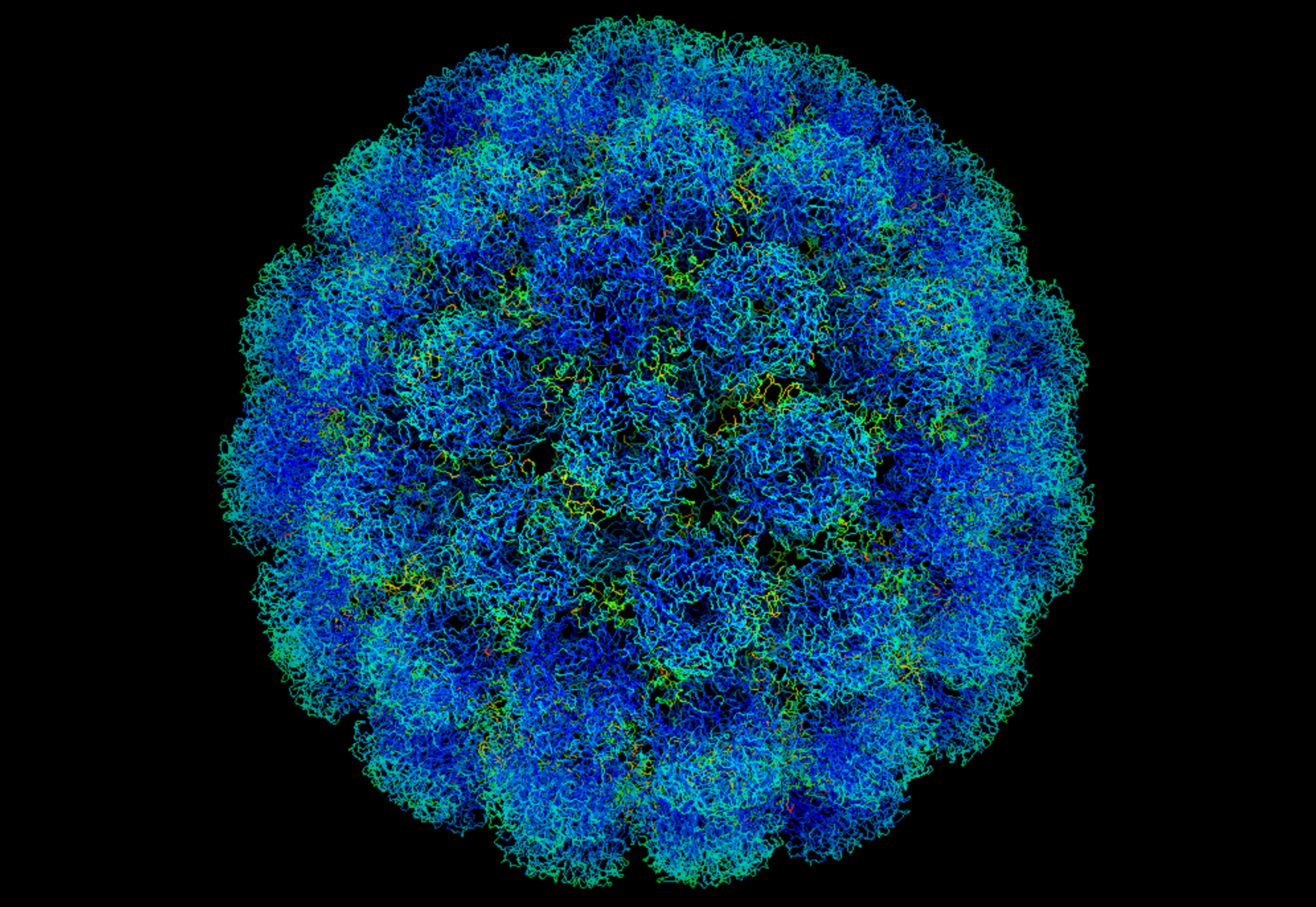 Opičí polyomavirus SV40