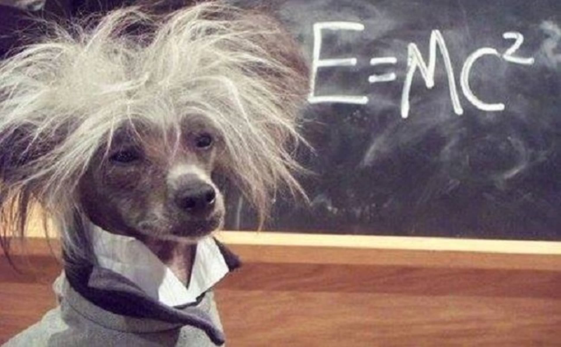 Pes Einstein