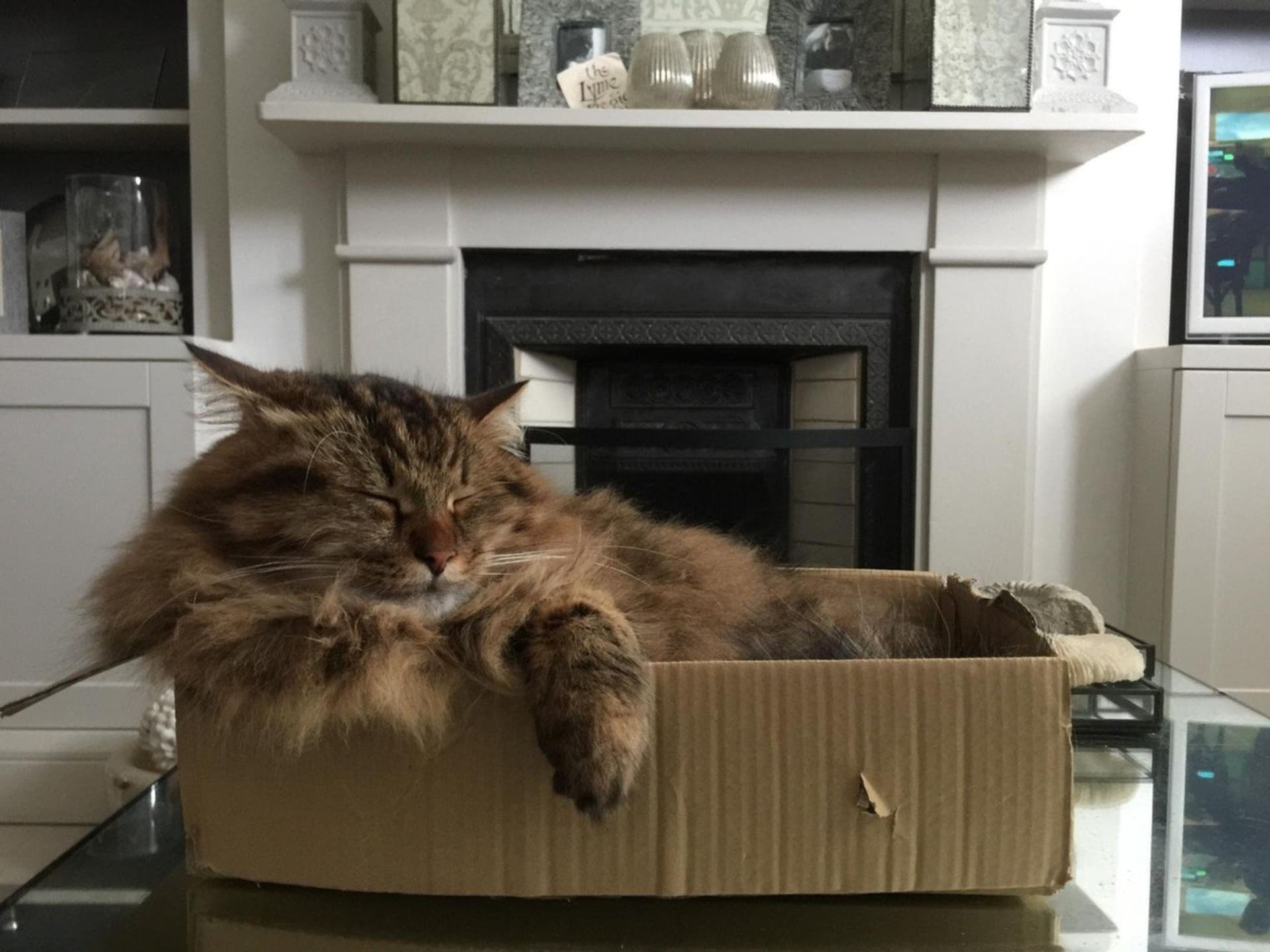 Kočka - krabice