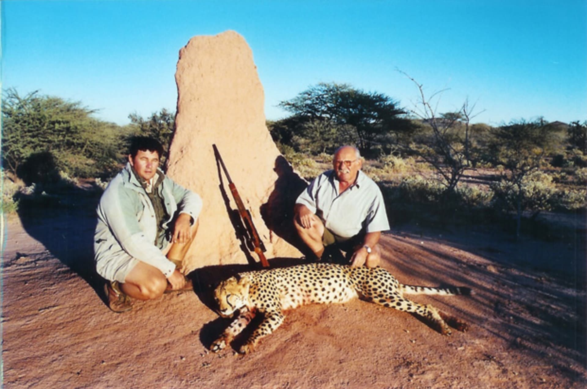 Zastřelený gepard