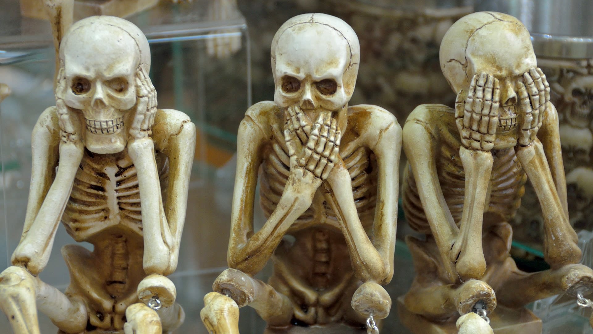 Víte kolik máte v těle kostí?