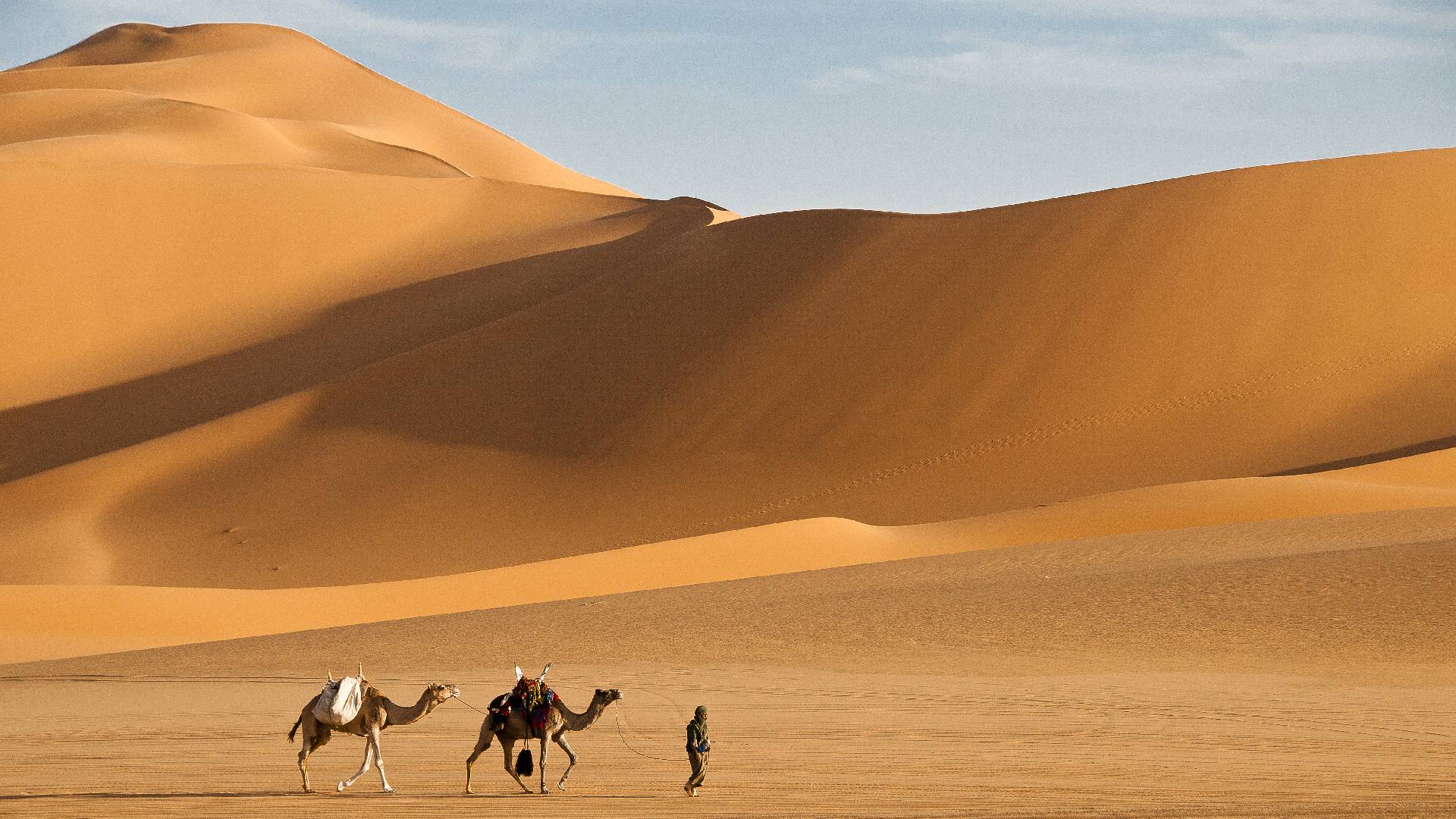 libyjská poušť