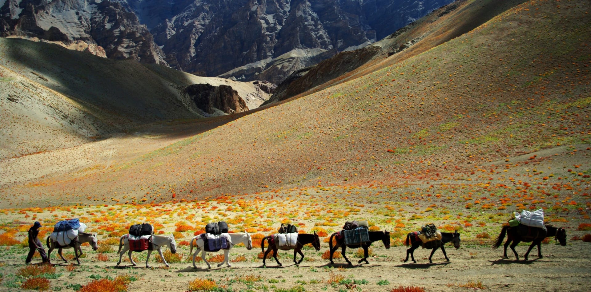 Ladakh - jdeme do hor