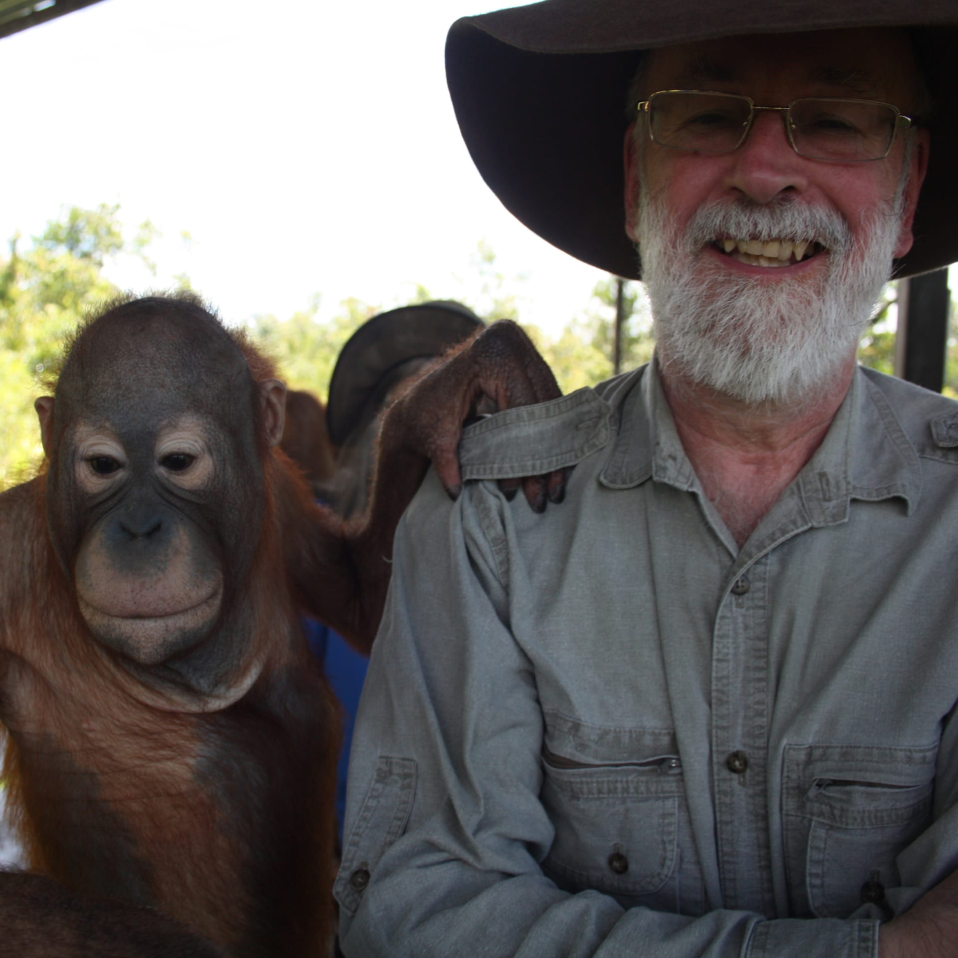 Terry Pratchett a orangutan