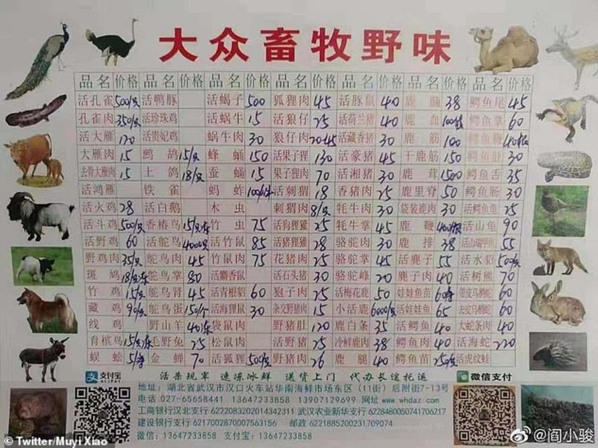 Nabídka zvířat na tržnici ve Wu-Chanu