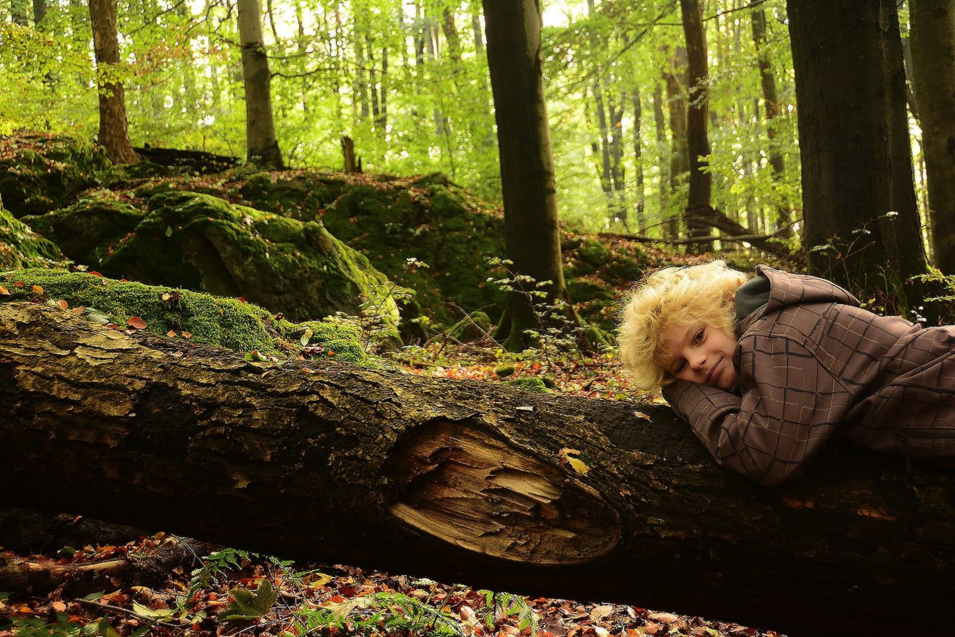 lesni relax v národní přírodní rezervaci Velký Špičák nedaleko Jihlavy