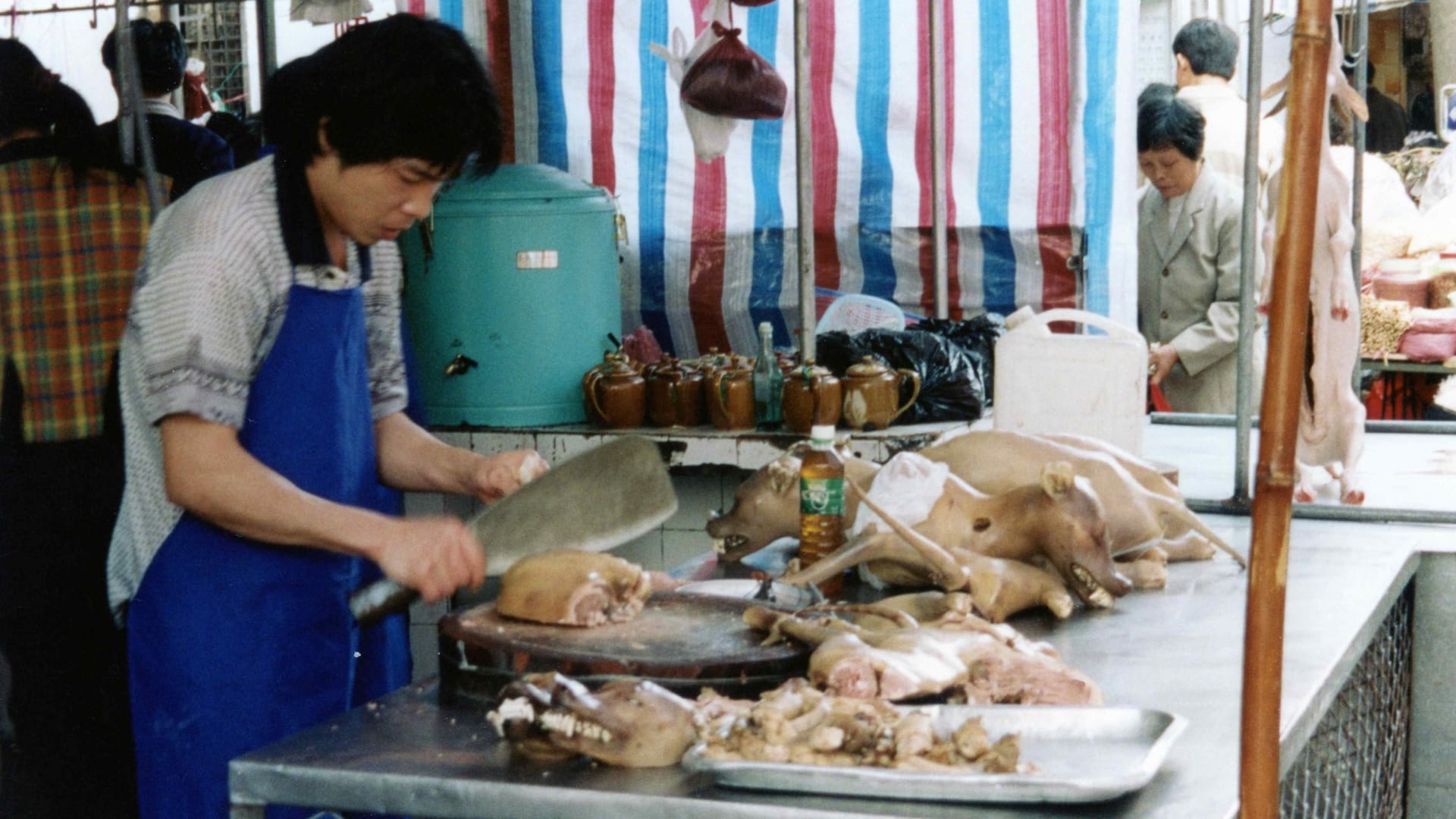 Pes na trhu čínském Guangdongu v roce 999