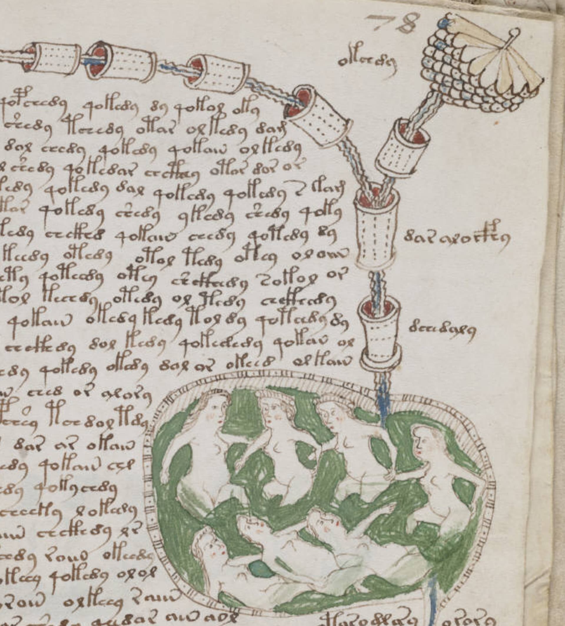 Voynichův rukopis - strana 78
