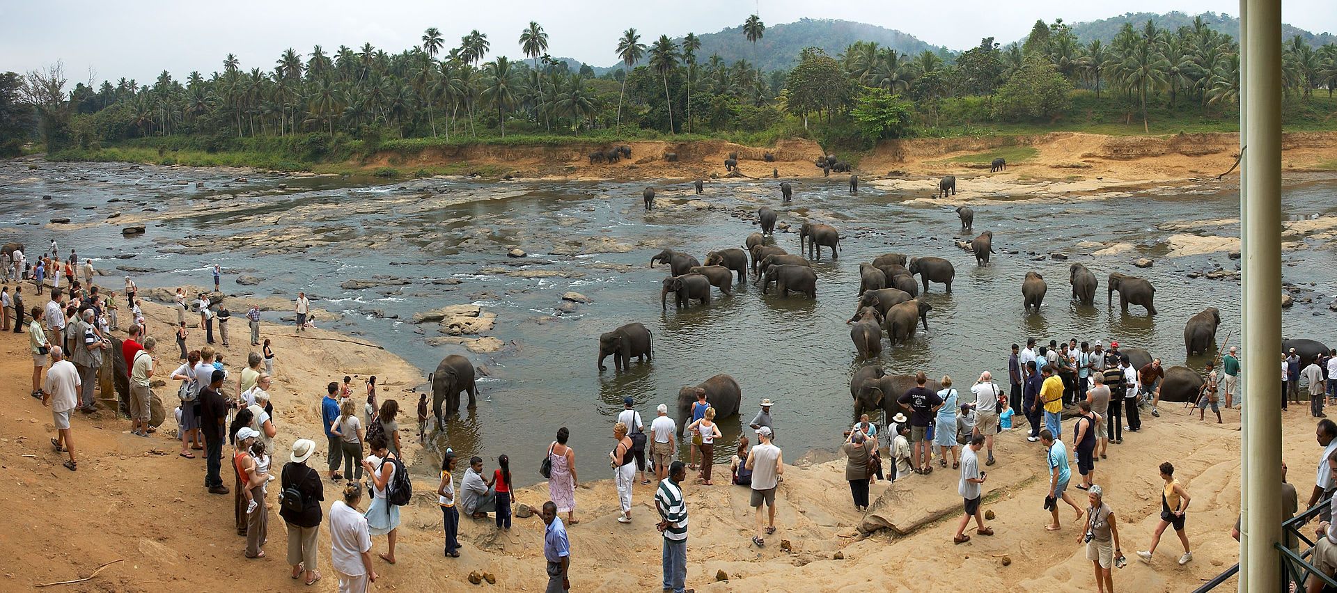 Turisté ve sloním sirotčinci v Pinnawale