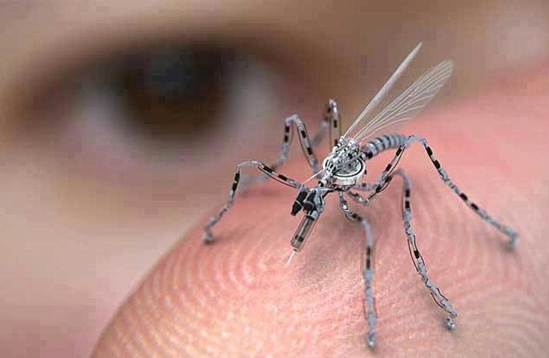 insect-drone