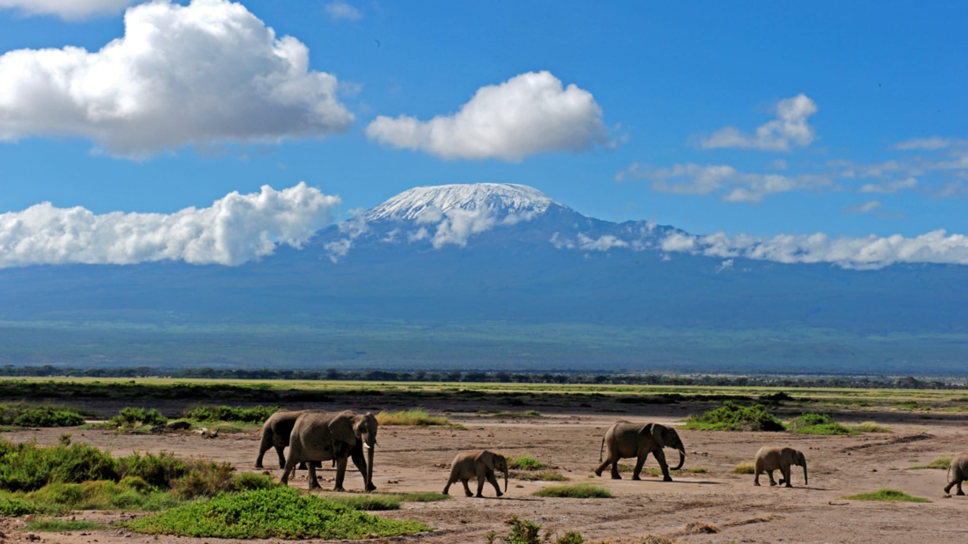 Kilimanjaro - pohled z Amboseli