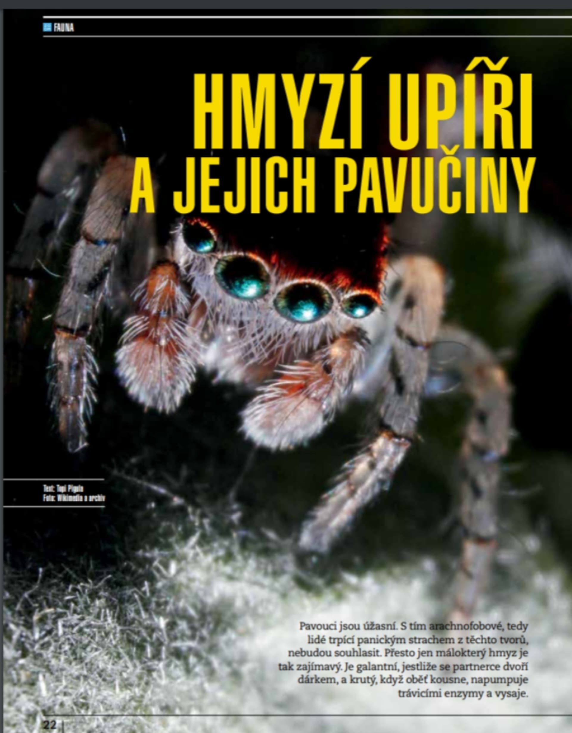Pavoučí téma v časopise Prima ZOOM