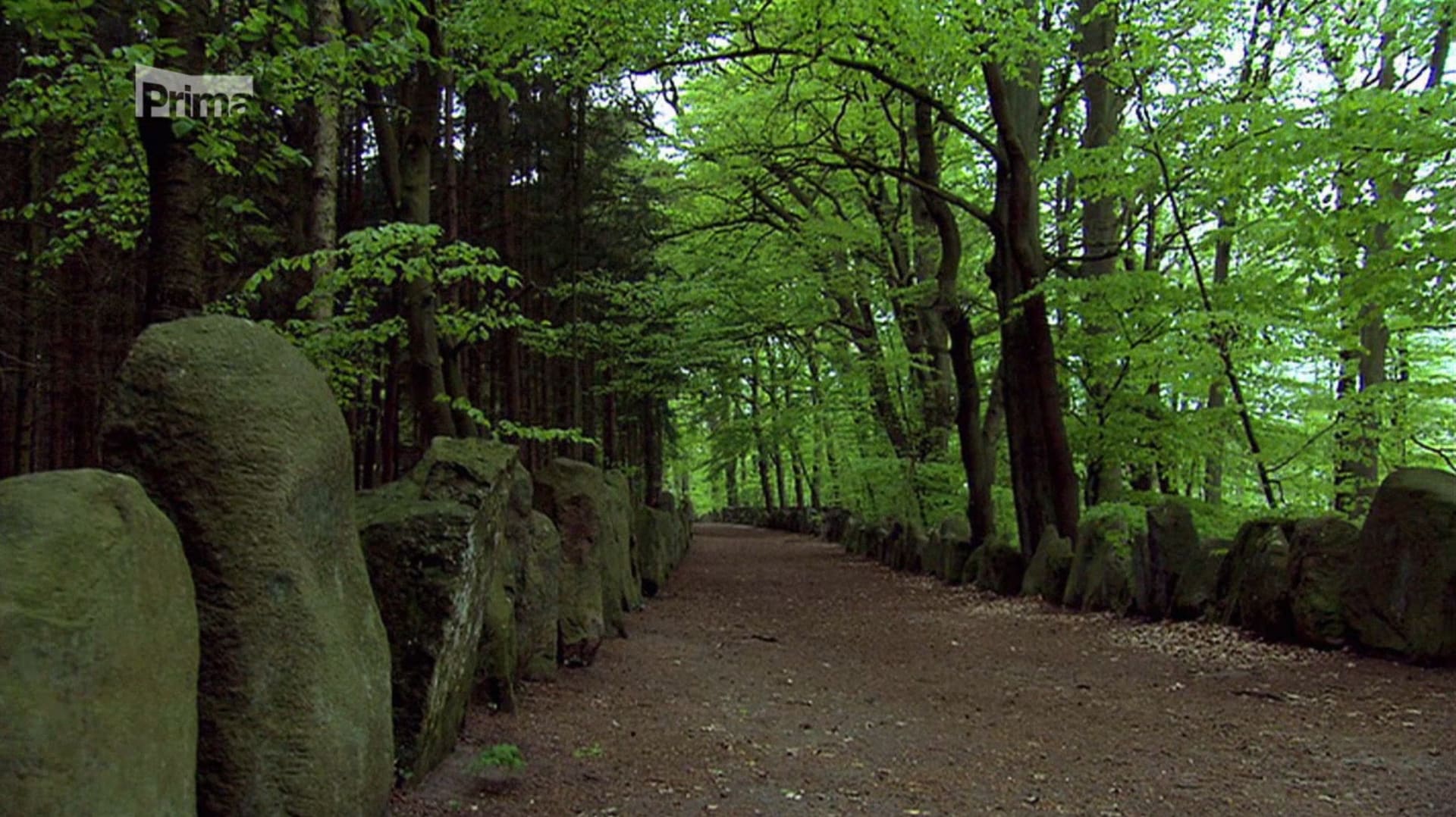 heinrich Himmler nechal na památku pohanských Sasů vztyčit tisíce kamenů