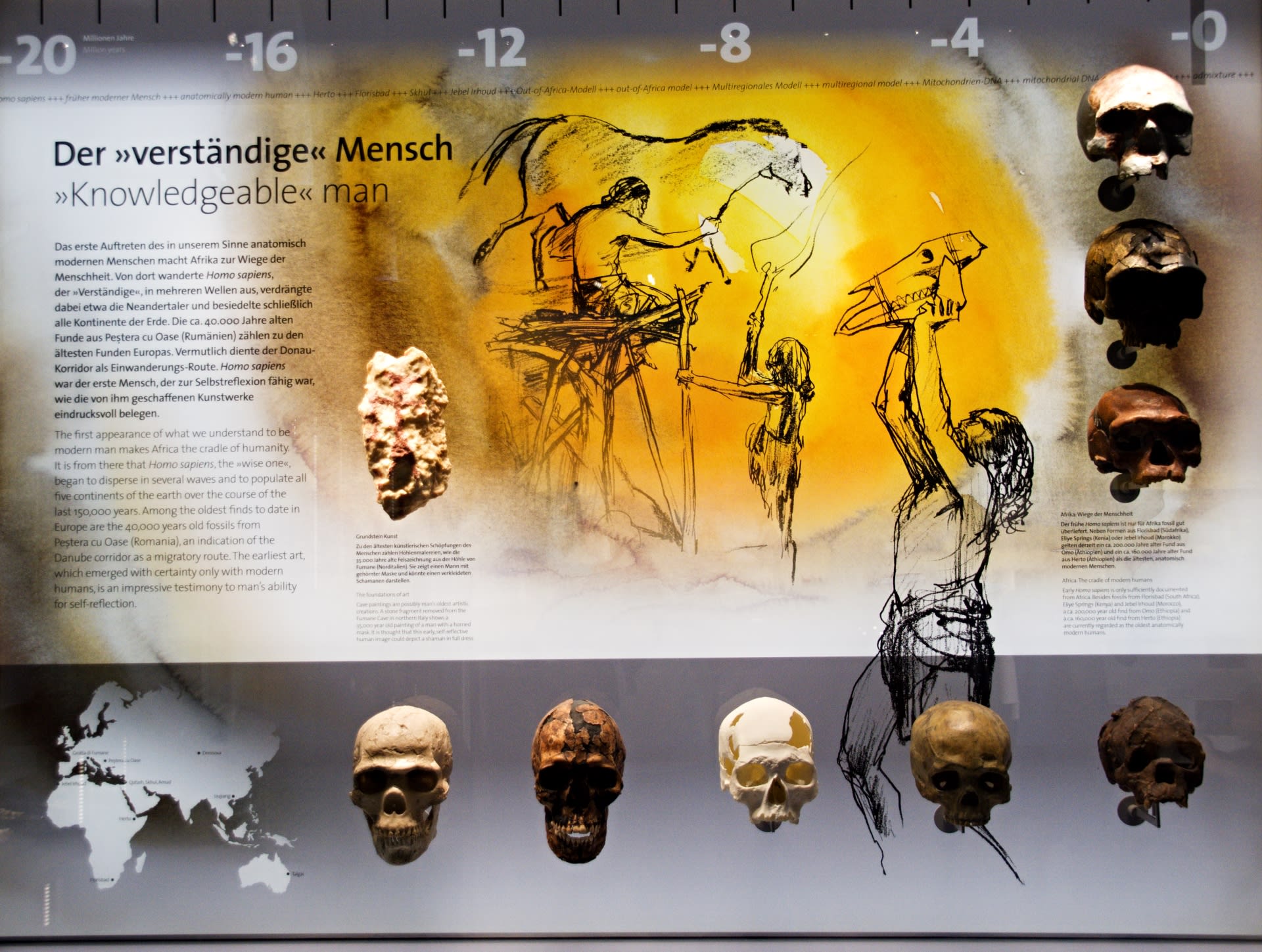 Všichni máme předky v Africe - foto z Přírodovědného muzea ve Vídni