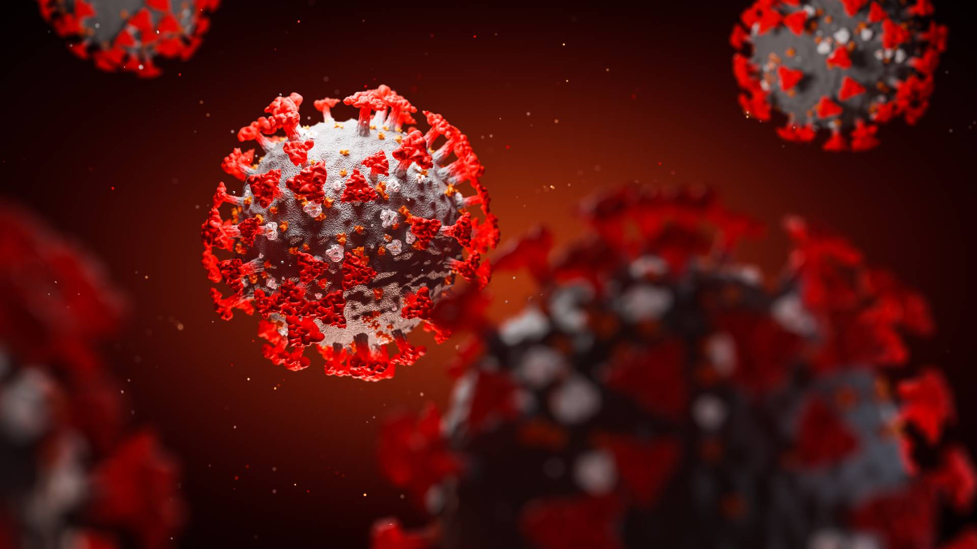 Konspirační teorie o tom, že koronavirus unikl z tajných laboratoří čínské vlády, berou za své.