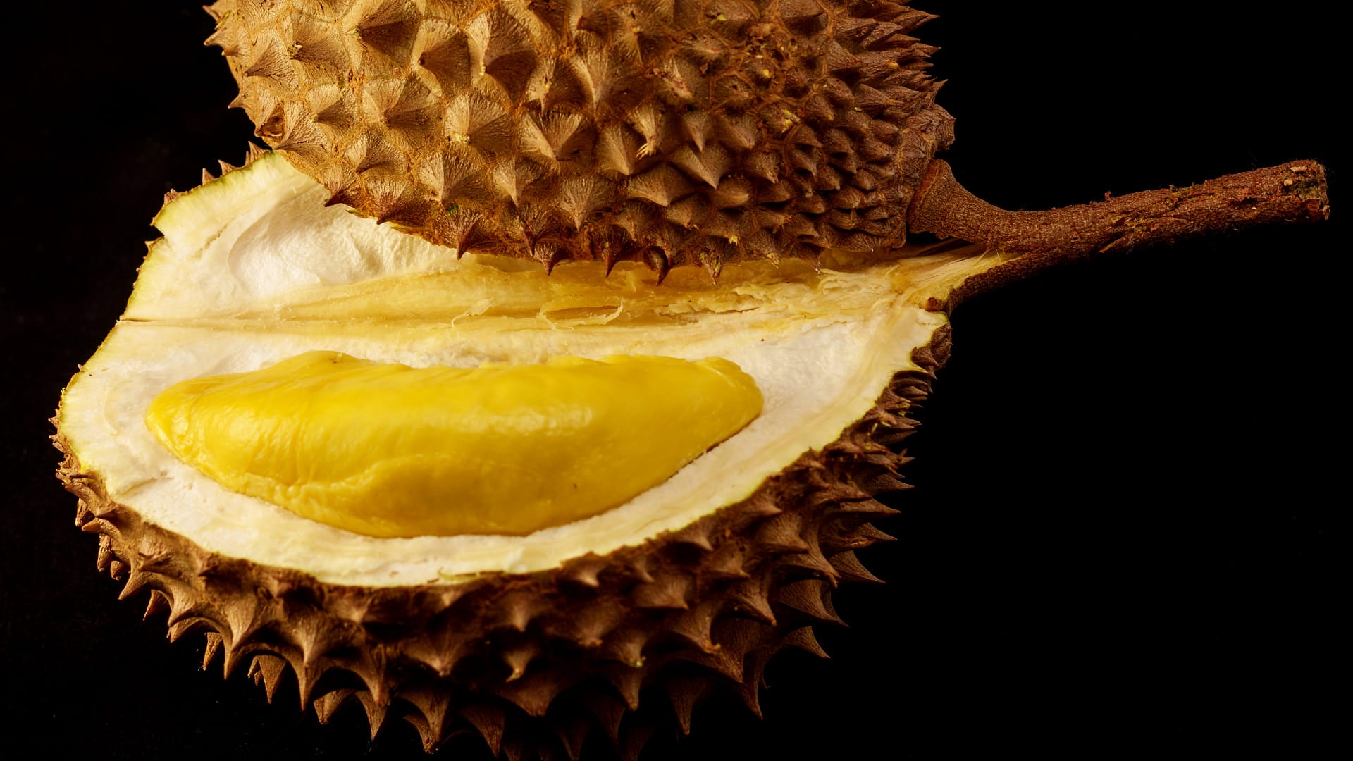 Takhle vypadá durian - nejsmradlavější ovoce světa