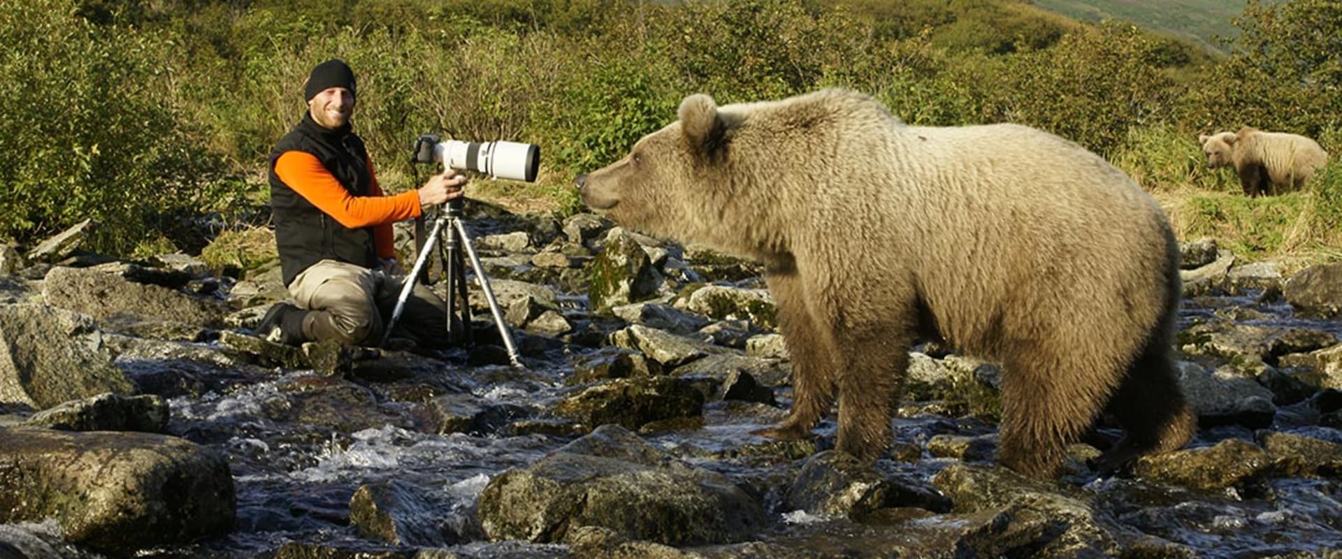 Jak se fotí grizzly