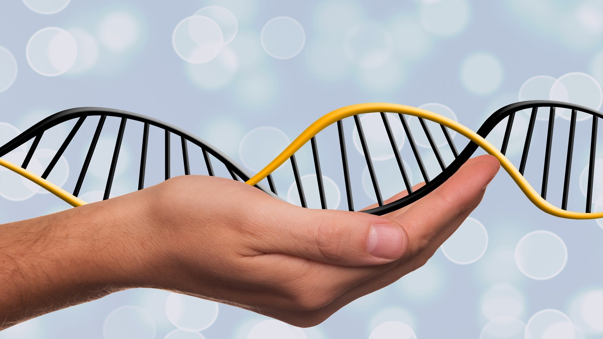Máme DNA ve svých rukou?