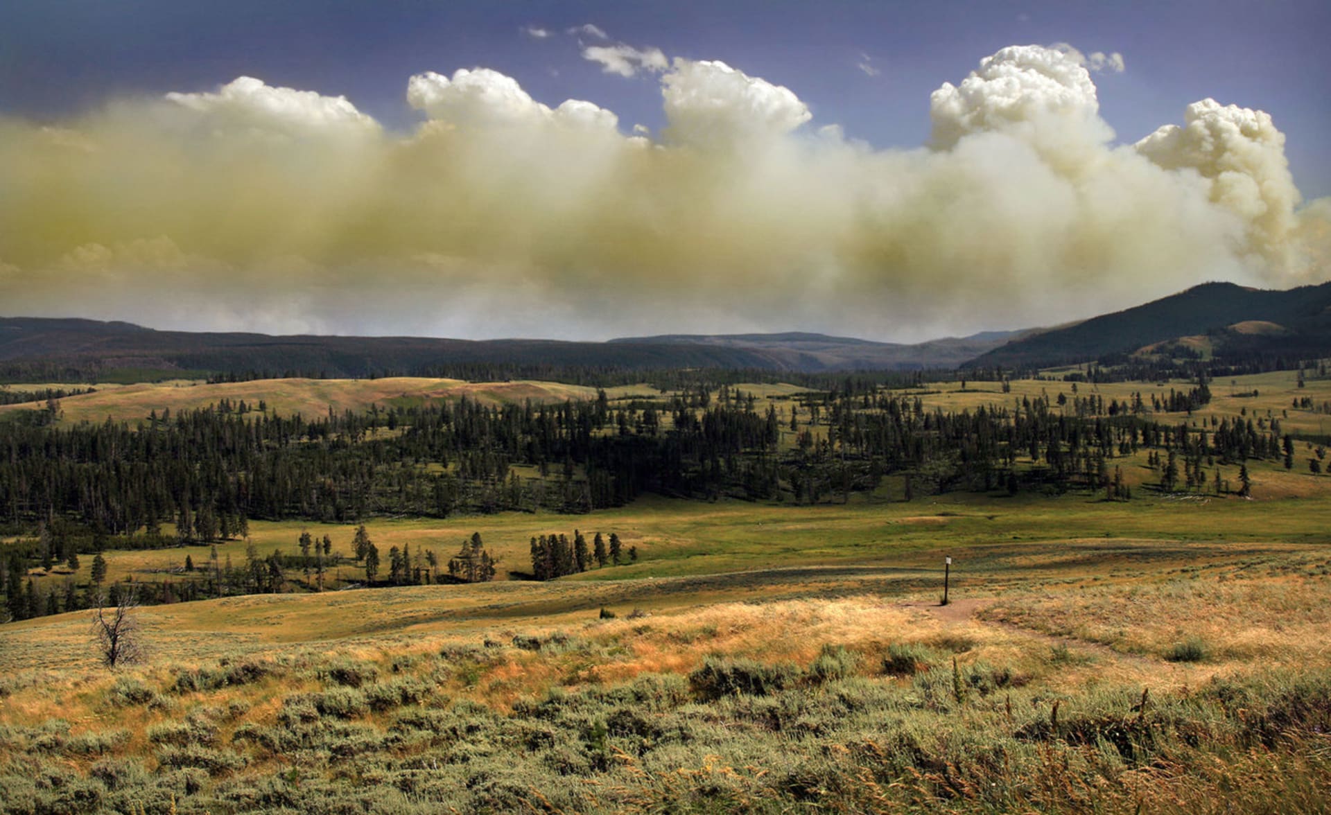 Požáry jsou ve zdějším národním parku pravidelnou záležitostí