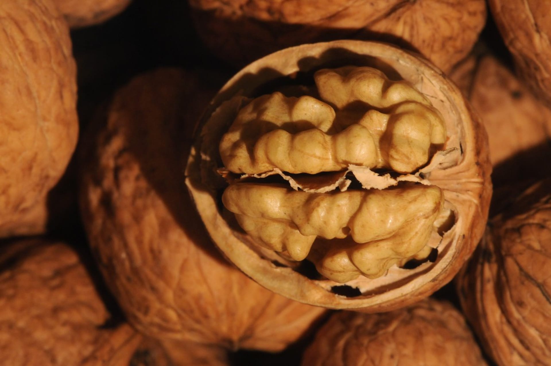 Vyhrálo lidstvo nad alergií na ořechy?