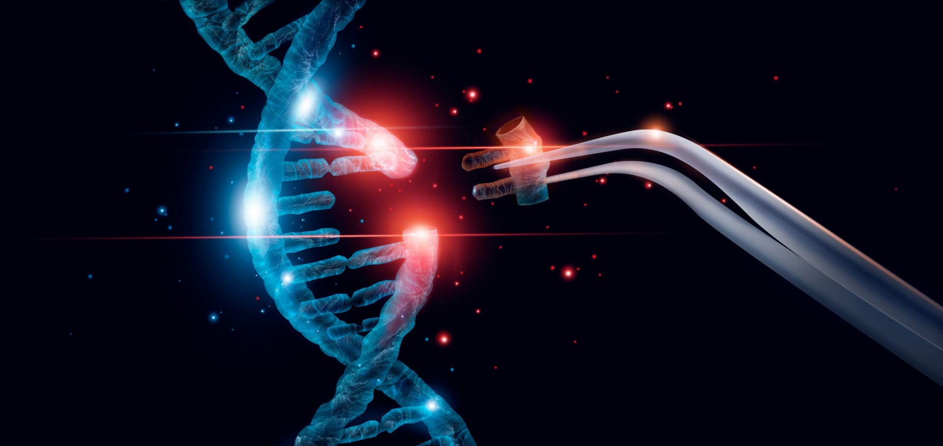 CRISPR - editace DNA