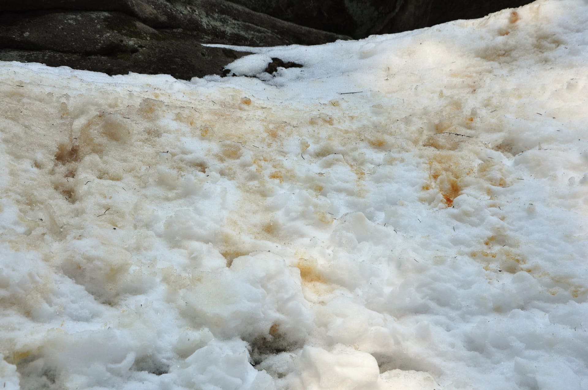 Barevný sníh v Pulčínských skalách