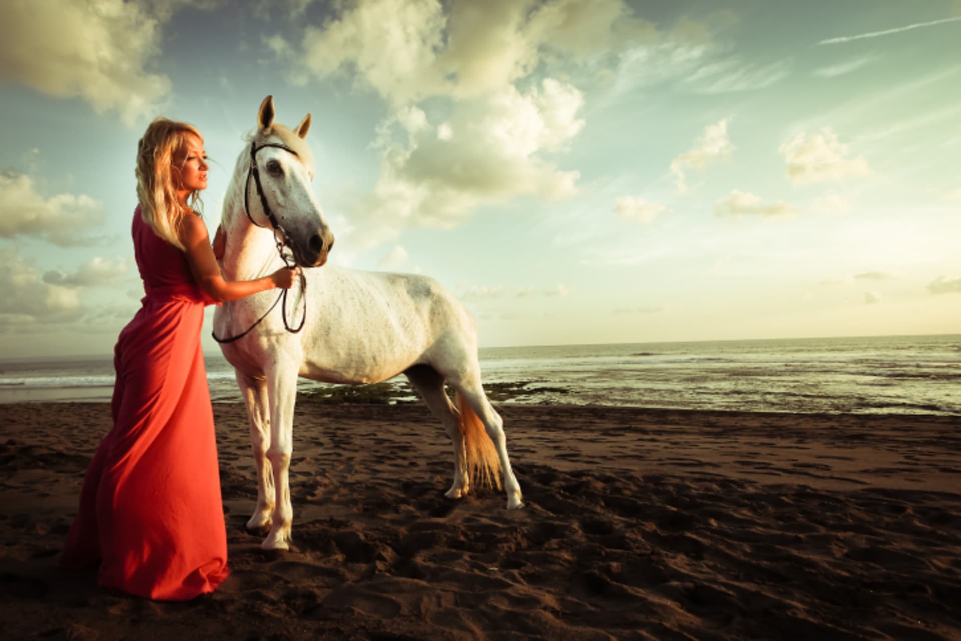 Dívka a kůň