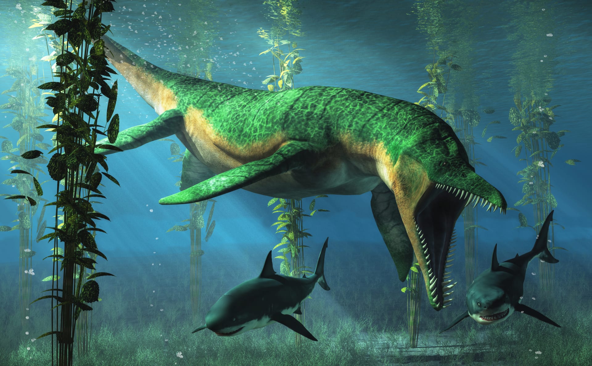 Na rozdíl od liopleurodona žraloci poslední velké vymírání druhů přežili