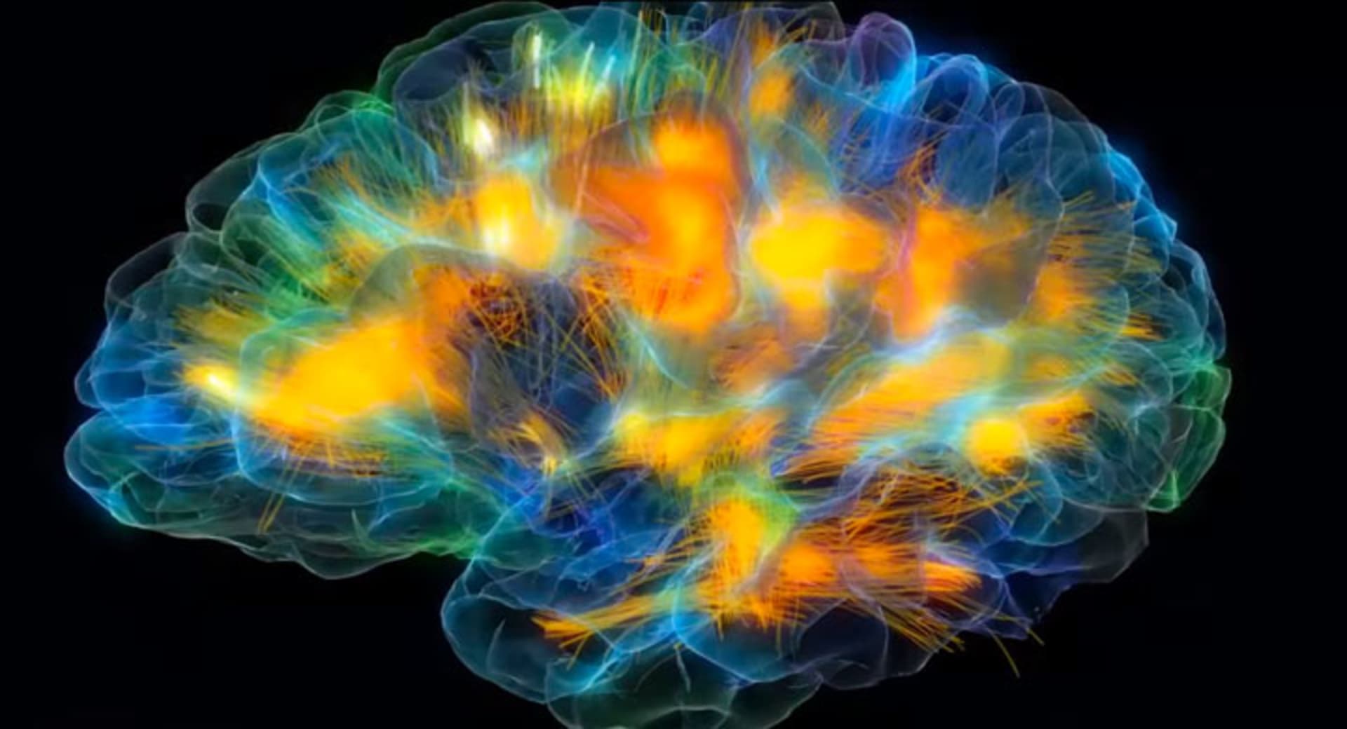 Fantastická modelace lidského mozku ve 3D