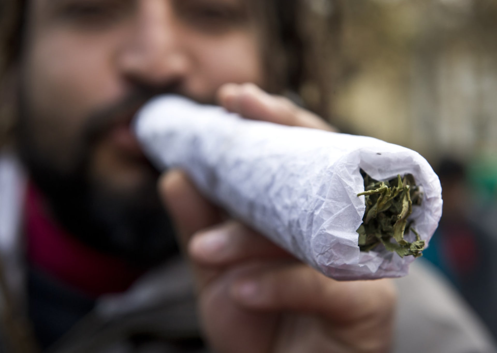 Co změnila legalizace marihuany