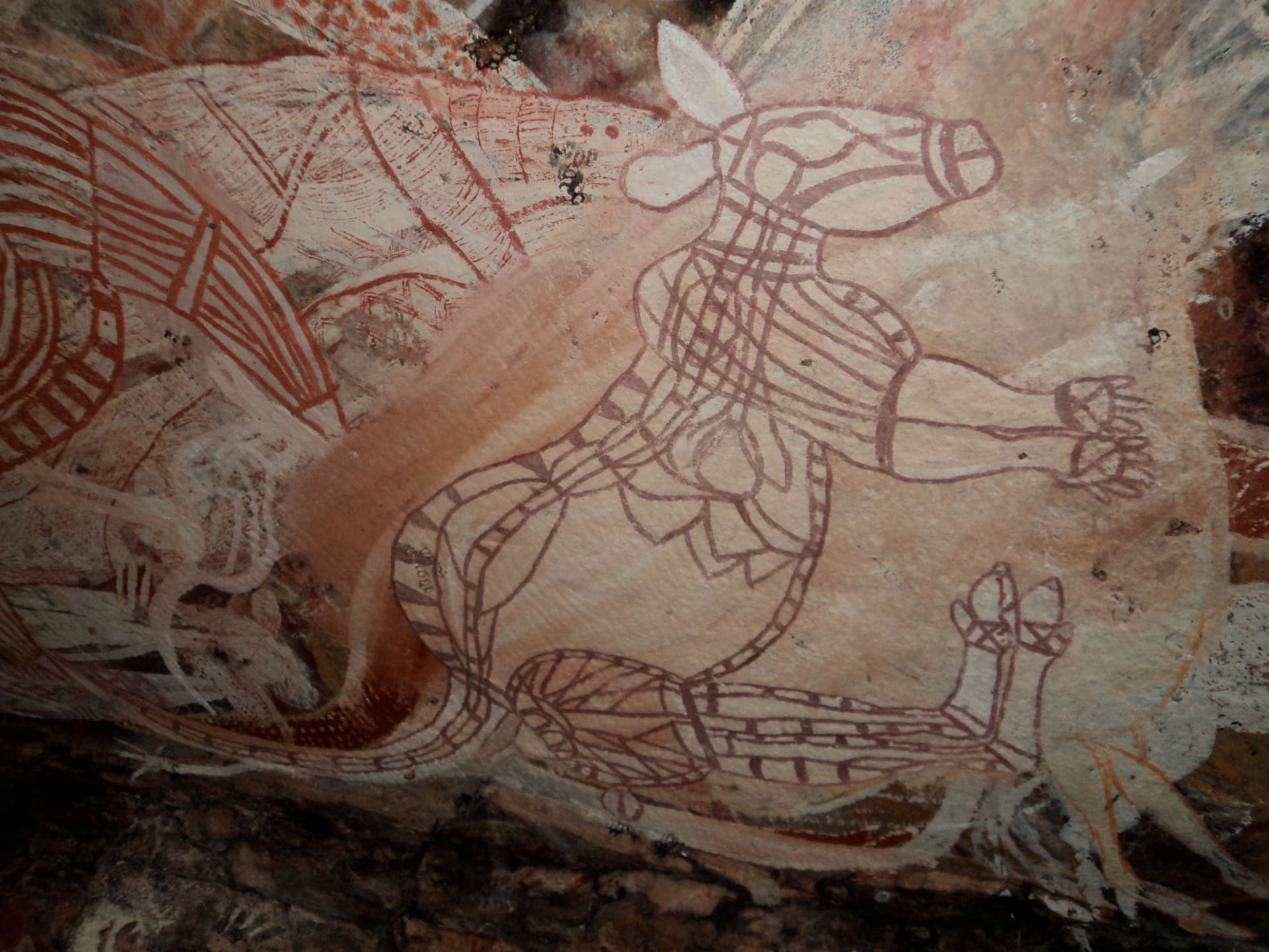 Malba původních obyvatel Austrálie znázorňující klokana