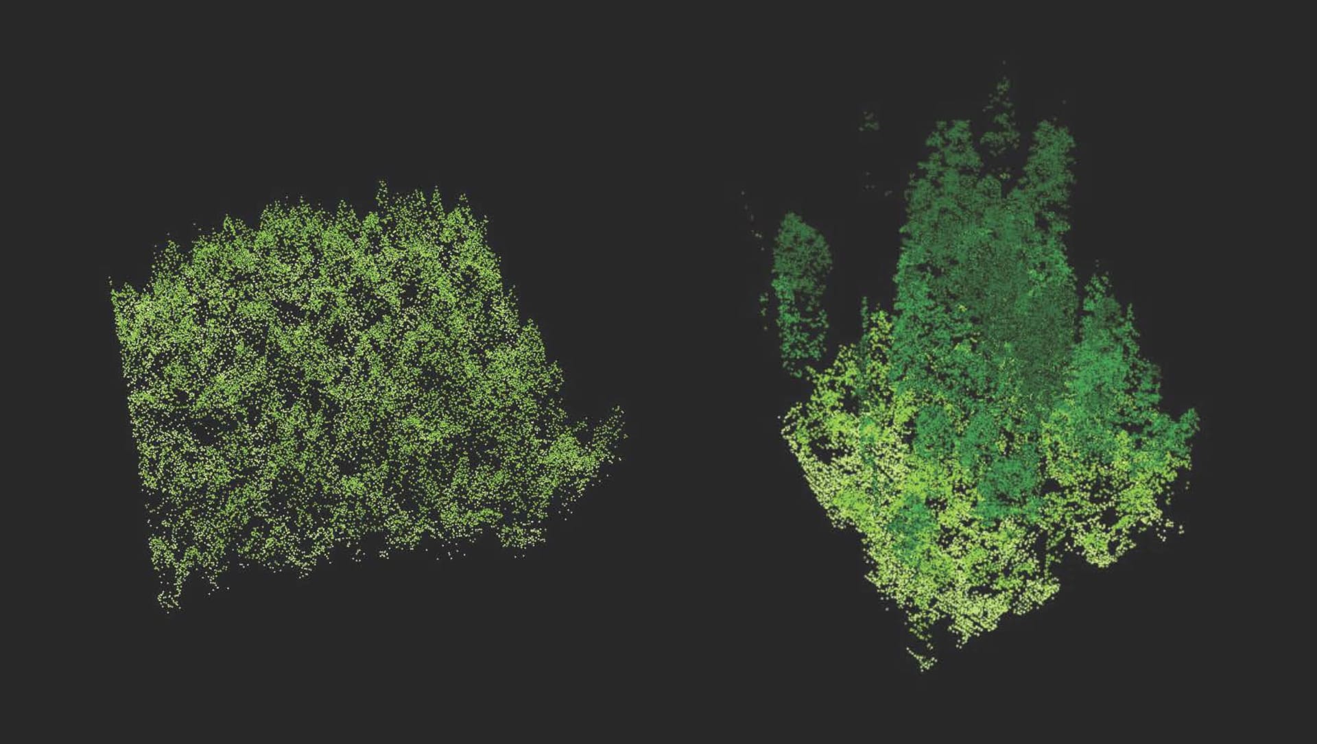 LIDAR - porovnání nové lesní "školky" a starého porostu
