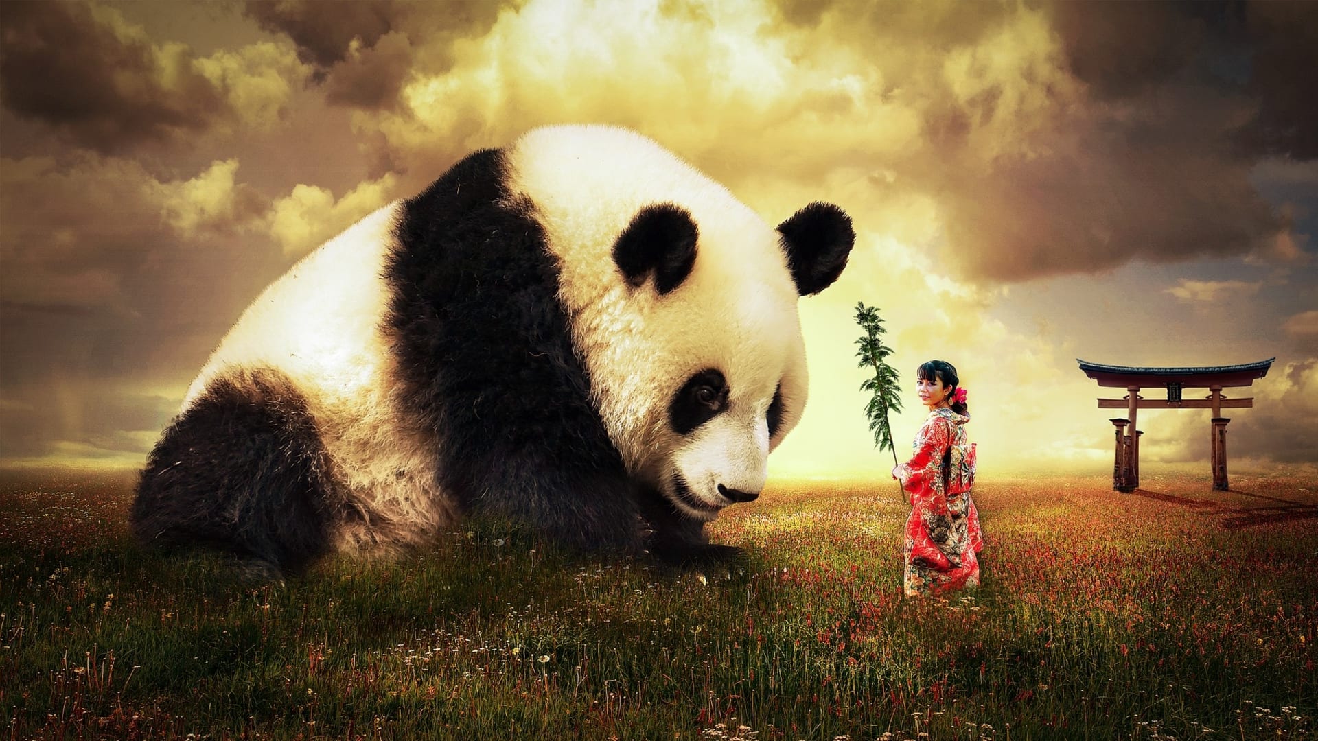 Panda hlídá Číňanku
