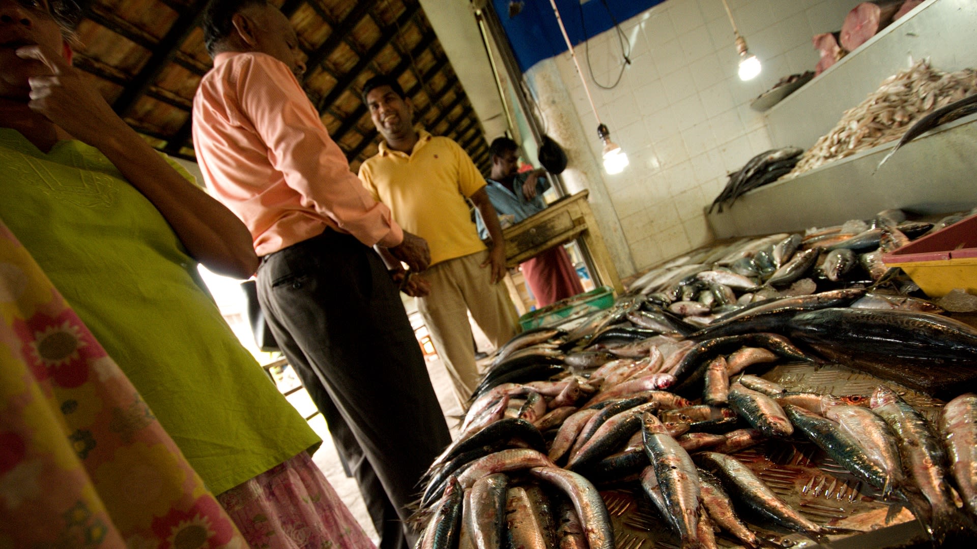 Rybí trh v Kandy (Srí Lanka)