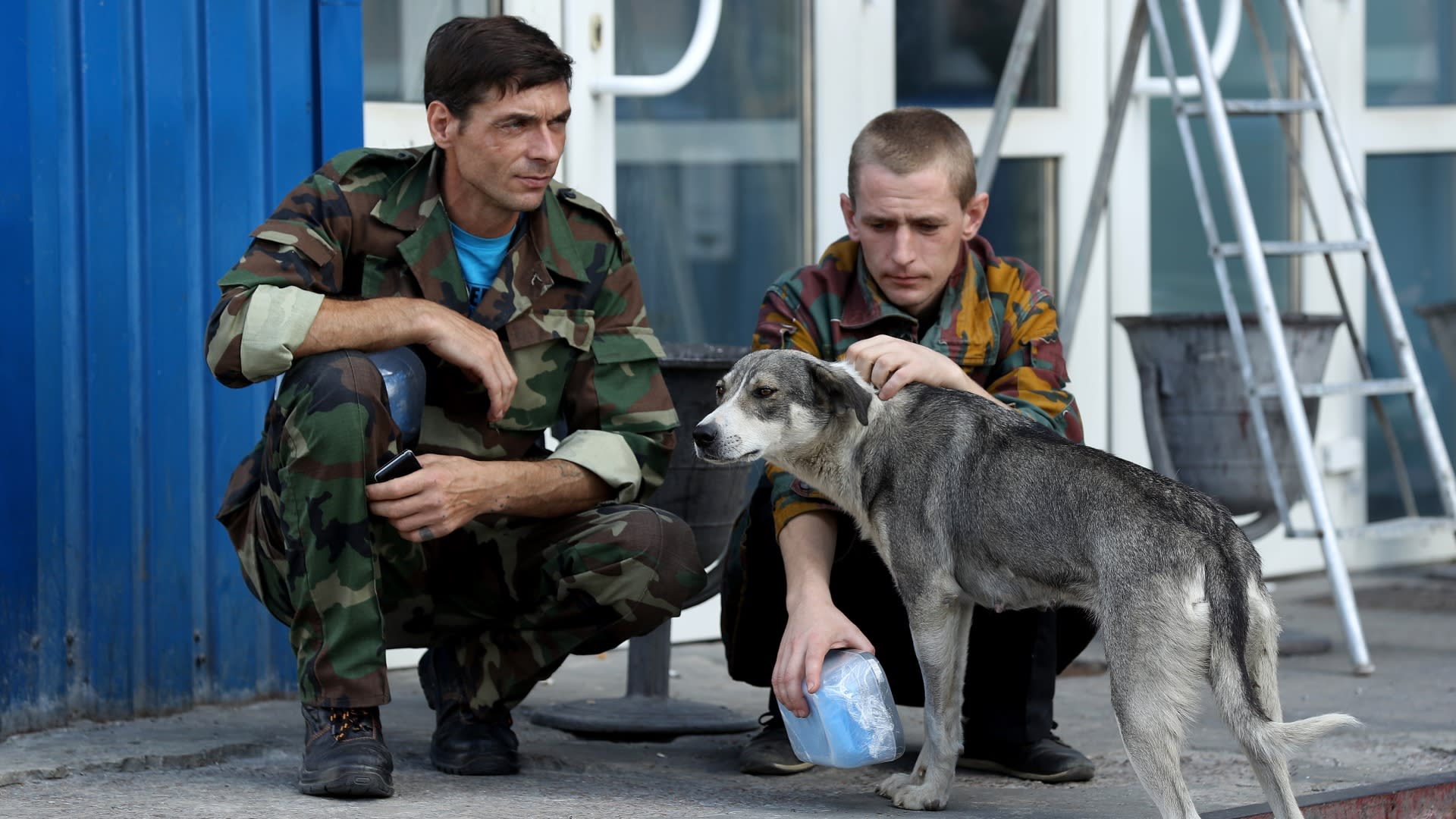 Vojáci v Černobylu hladí místního psa