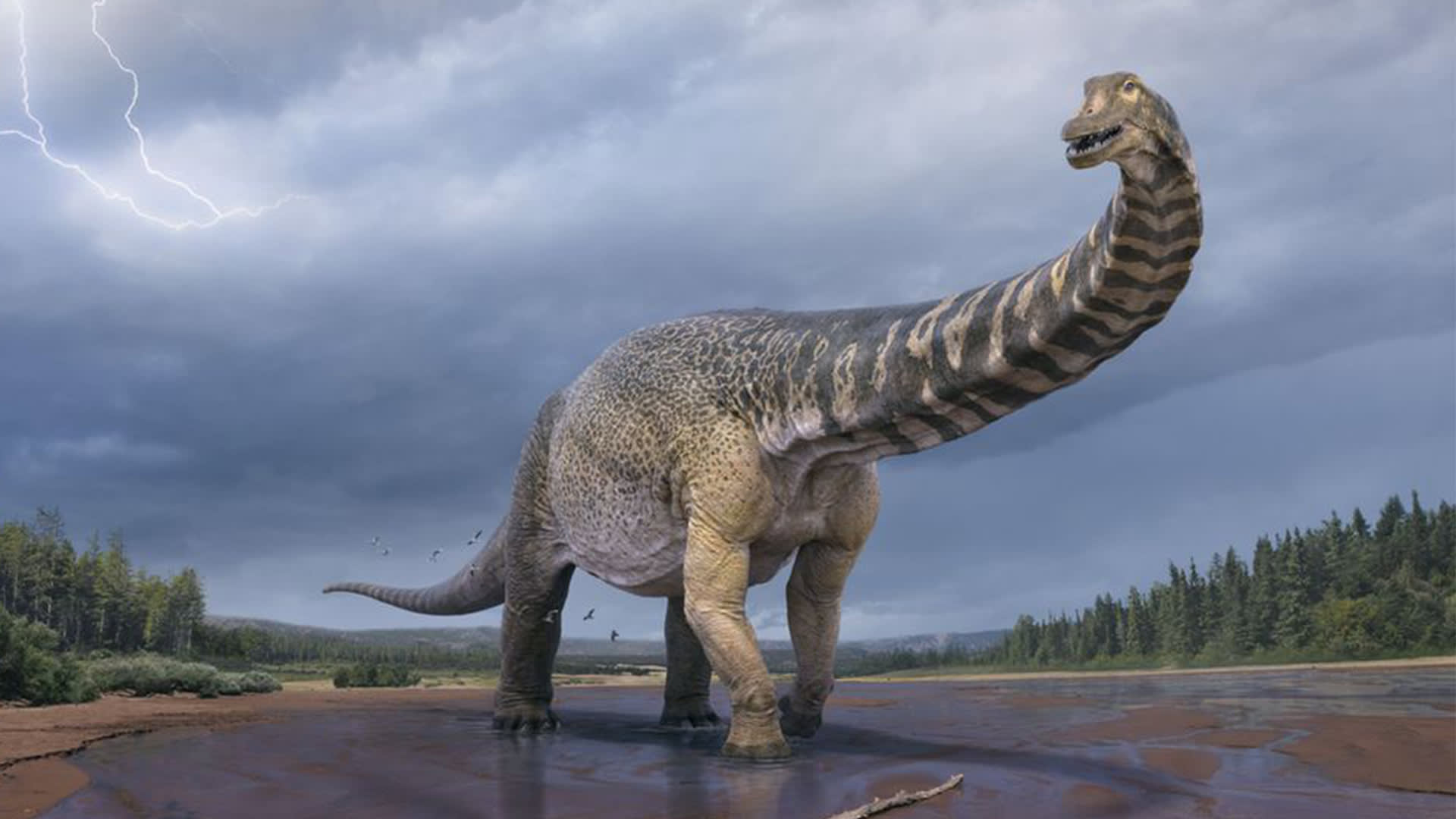 Takto by měl nově potvrzený dinosauří obr vypadat