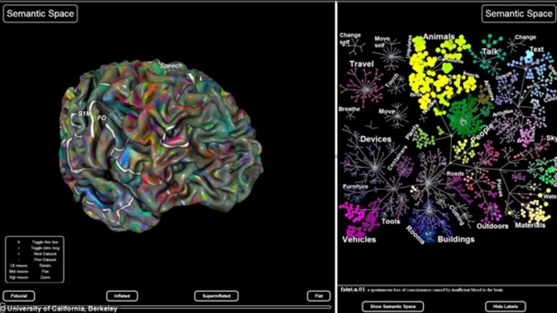 Mapa lidského mozku: už víme, kde je v naší mysli nábytek nebo cestování - Obrázek 3
