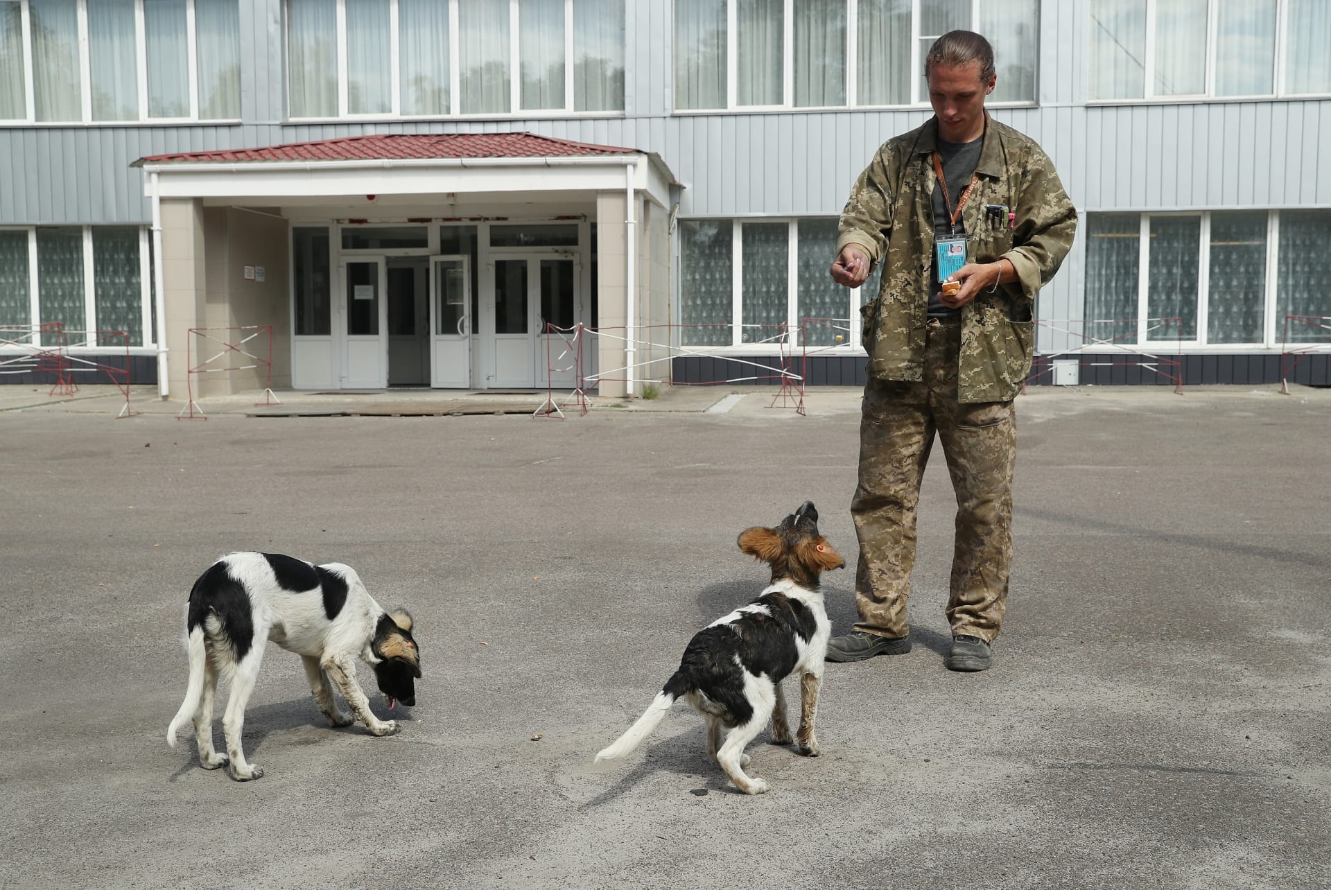 Voják v Černobylu krmí psy