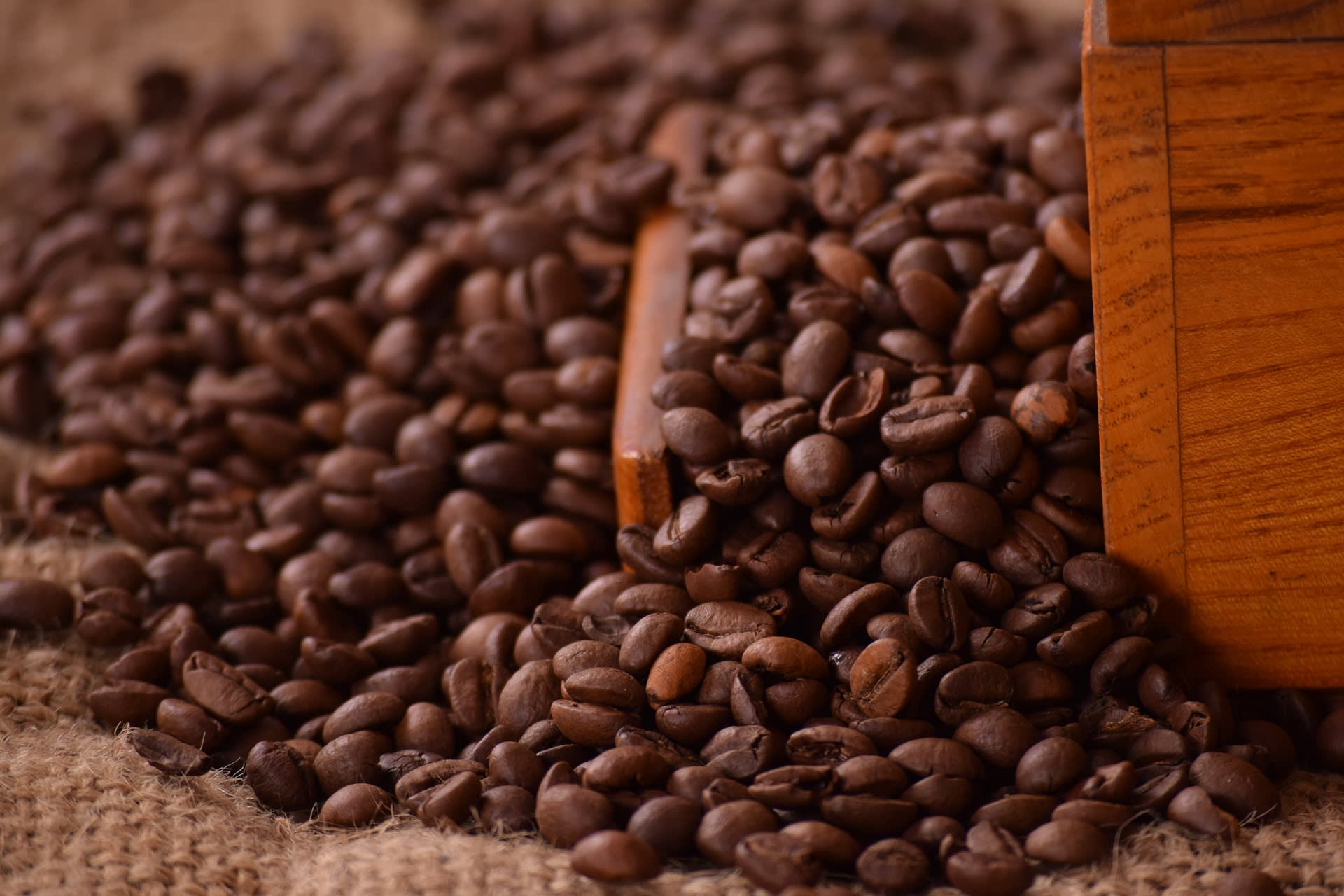 Robusta není dobrou náhradou kávy arabica. Je totiž více hořká
