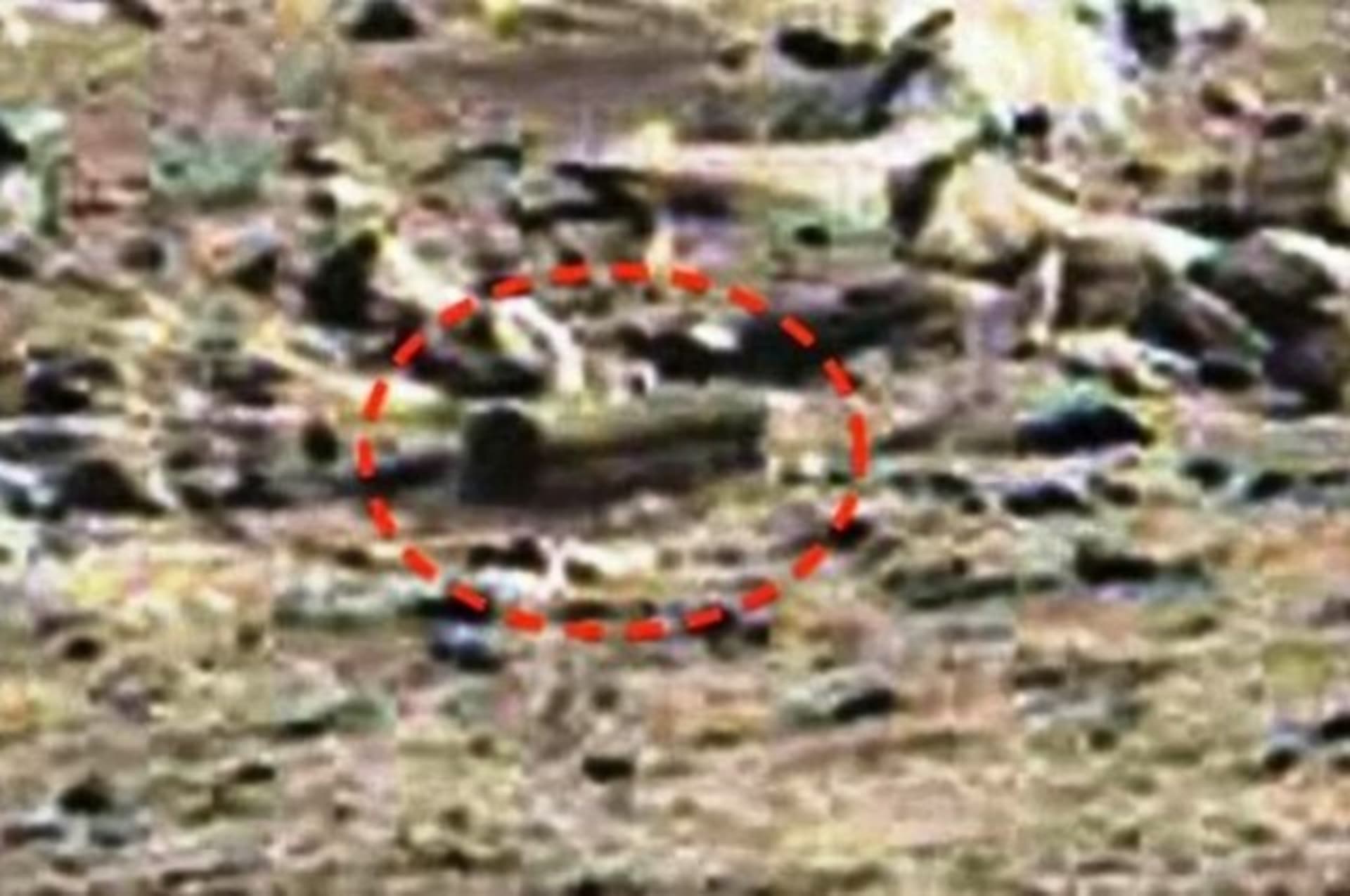 Rakev na Marsu, detail