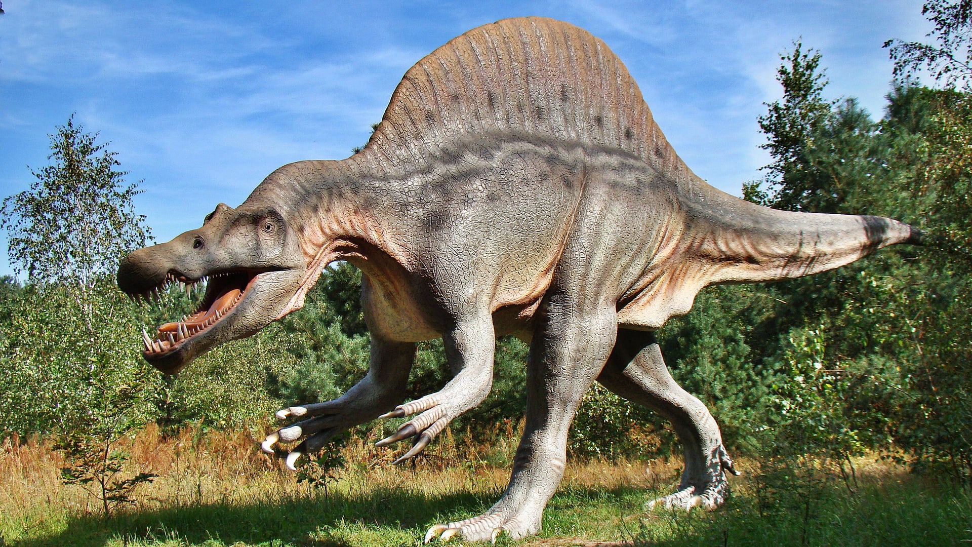 Co ještě skrývá historie z doby dinosaurů