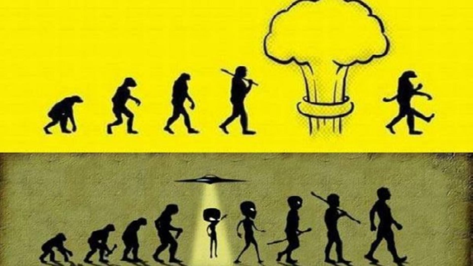 Evoluce vtipně