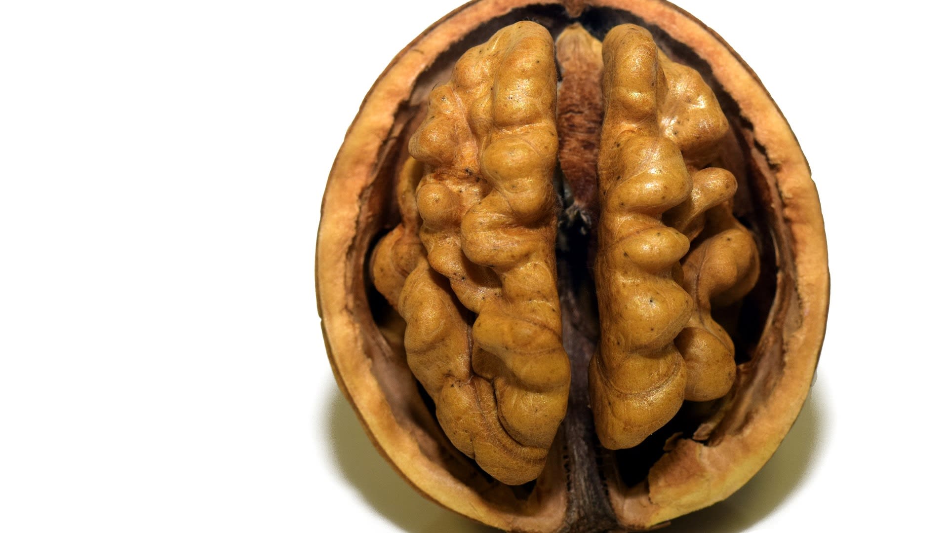 Prospívá dieta mozku?
